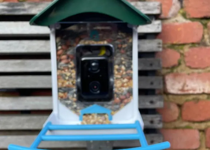 The Refuge Of Happiness Vakantiehuis